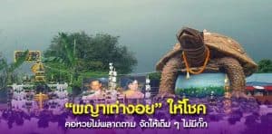 พญาเต่างอย