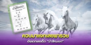 จัดแจกเลขพารวยสำนักชื่อดัง “ม้าสีหมอก”