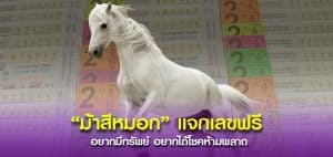 มาแล้ว “ม้าสีหมอก” ควบมาแจกเลขเด็ด คอหวยเตรียมให้พร้อมจดเลขแนวทาง