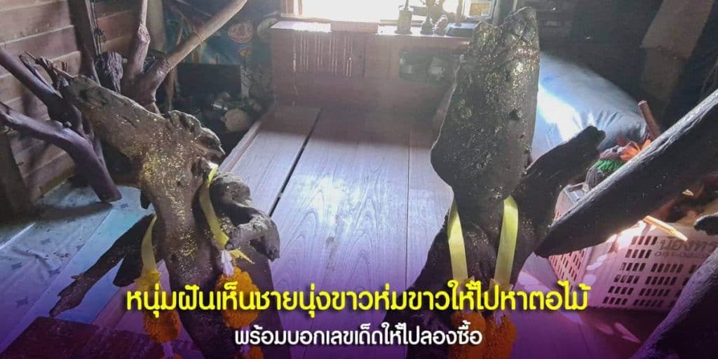 หนุ่มฝันเห็นชายนุ่งขาวห่มขาวให้ไปหาตอไม้