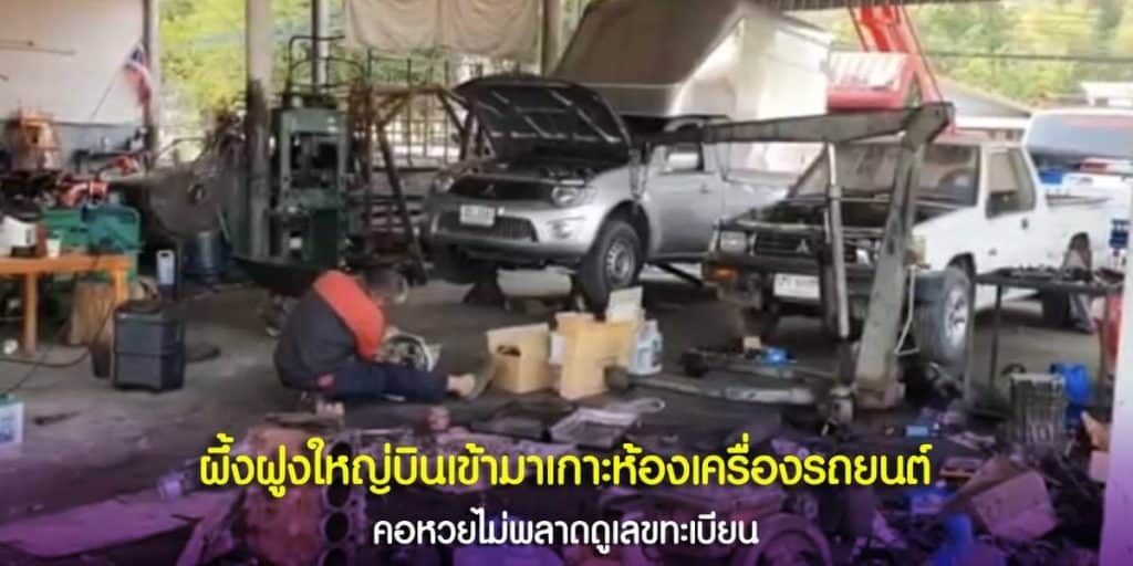 ผึ้งฝูงใหญ่บินเข้ามาเกาะห้องเครื่องรถยนต์